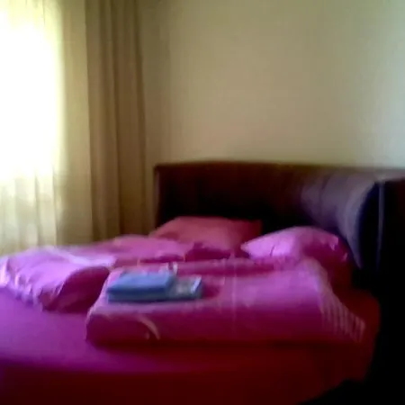 Part Of The House In The Apple Garden *