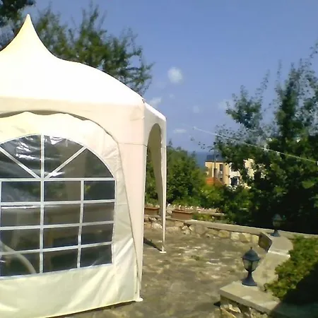 Part Of The House In The Apple Garden *